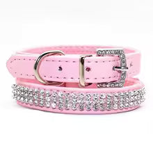 Collier chien cuir | Prestance Dog™