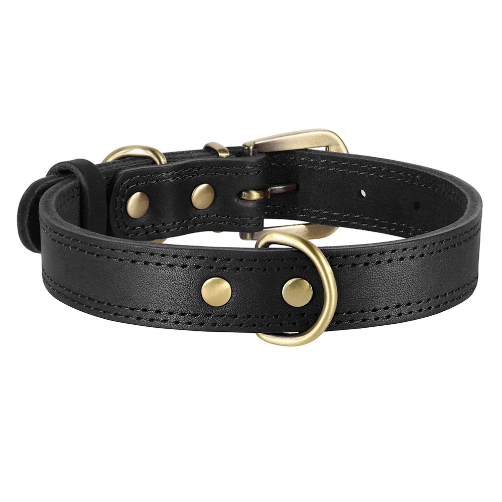 collier en cuir noir pour chien elegance