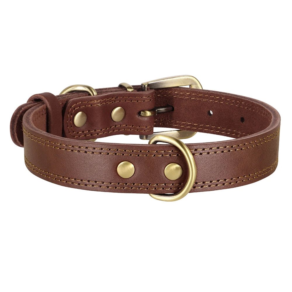 collier en cuir pour chien elegance